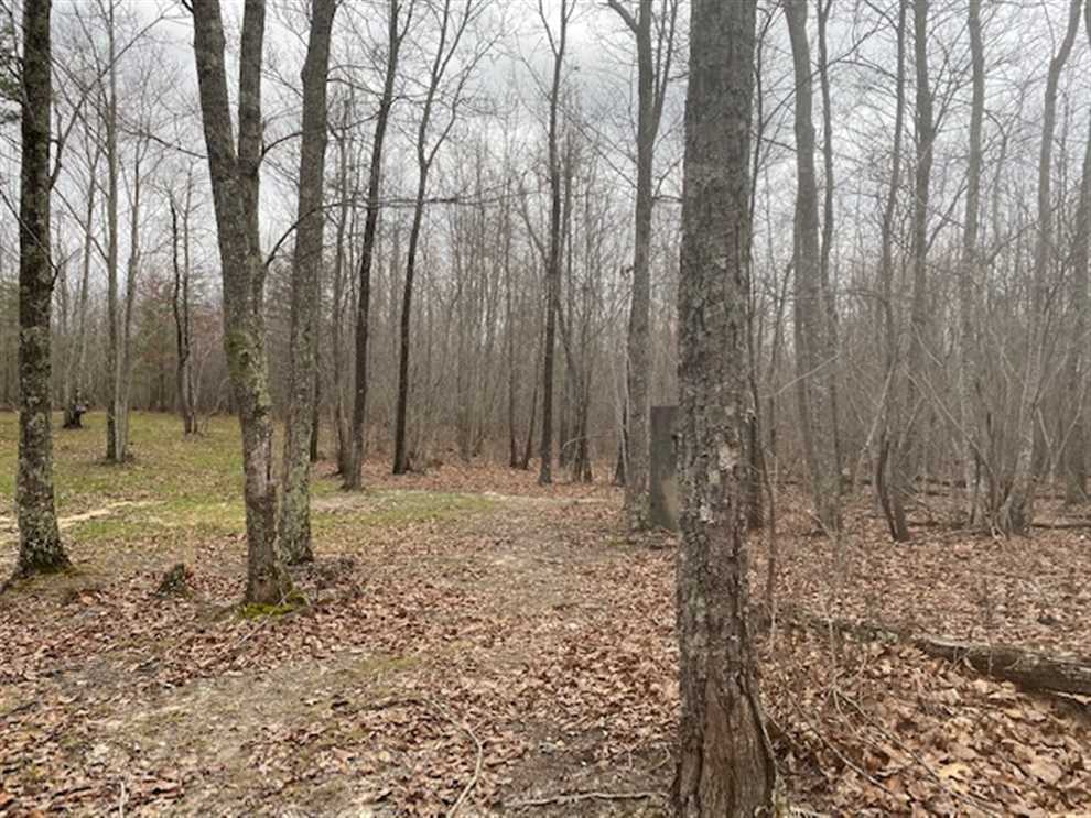 130 Acres of Residential land for sale in South Pittsburg, marion County, Tennessee