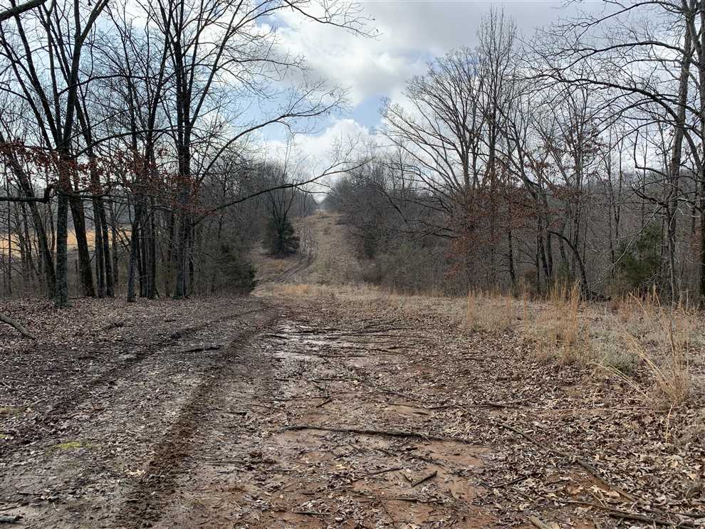 property for sale on The Land Market