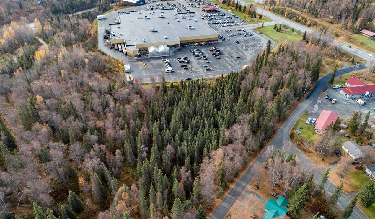 22.29 Acres of Land for Sale in kenai peninsula County Alaska