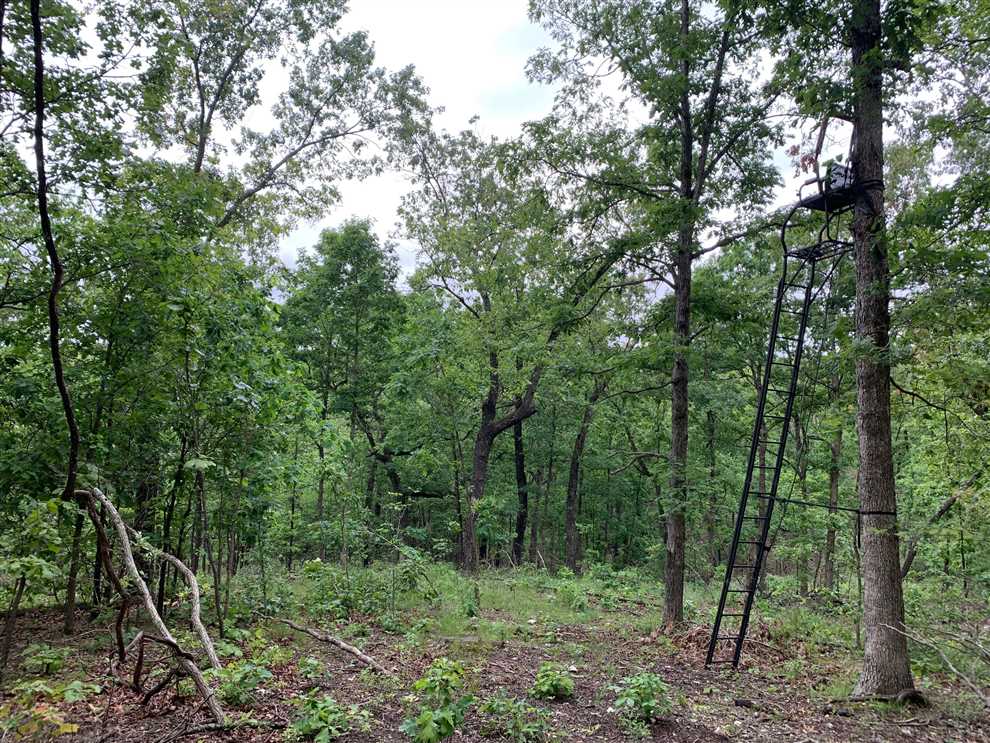 Residential and   property for sale on The Land Market