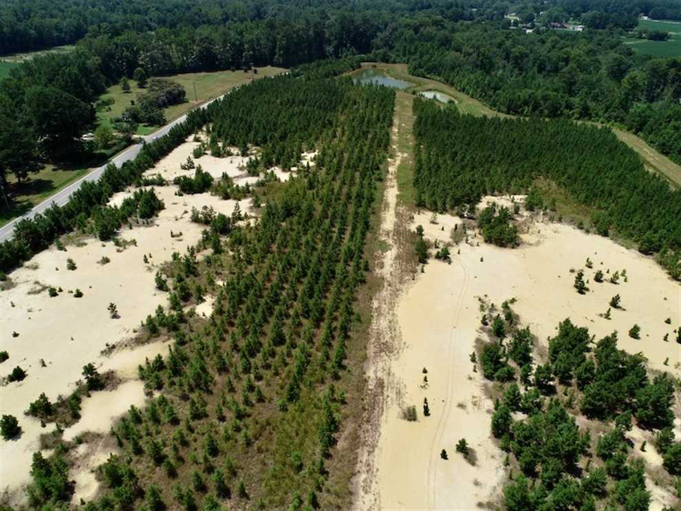28.67 Acres of Land For Sale in Gates County NC! Real estate listing