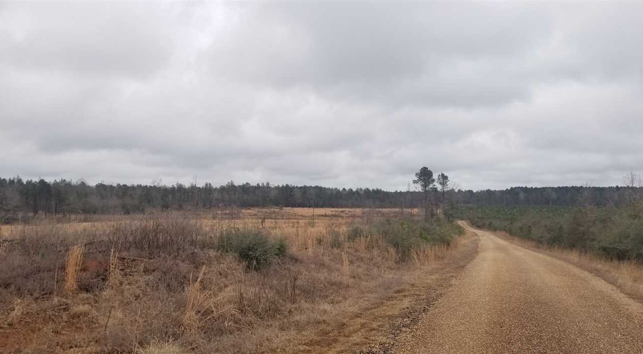 40 Acres of Recreational land for sale in Winnfiled, winn County, Louisiana