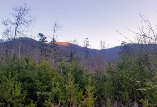 91 Acres of Land for Sale in jackson County North Carolina