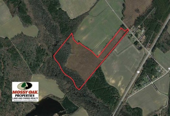 55 Acres of Land for Sale in bertie County North Carolina