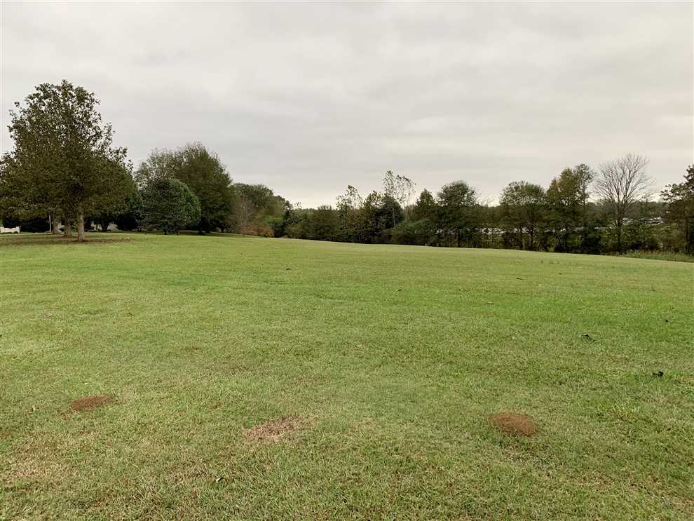7 Acres of Residential land for sale in Sherman, pontotoc County, Mississippi