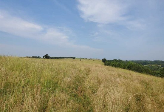 155 Acres of Land for Sale in faulkner County Arkansas