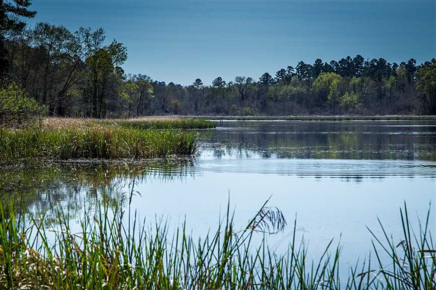 Land for sale to buy in 71115 zip code