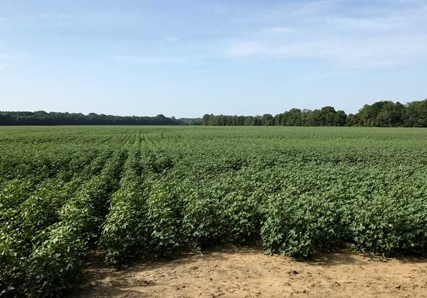 Houses and land for sale in Mississippi