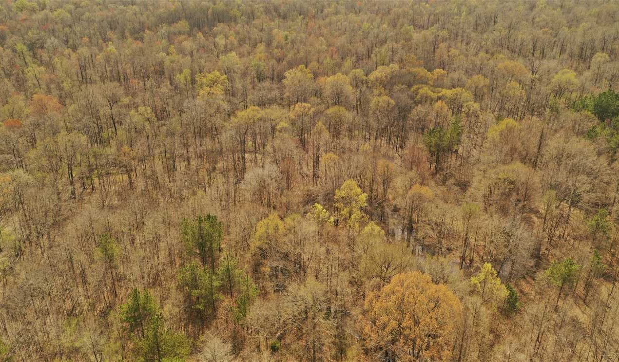 Houses and land for sale in Mississippi