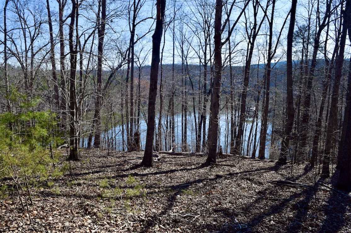 Land for sale to buy in 24557 zip code