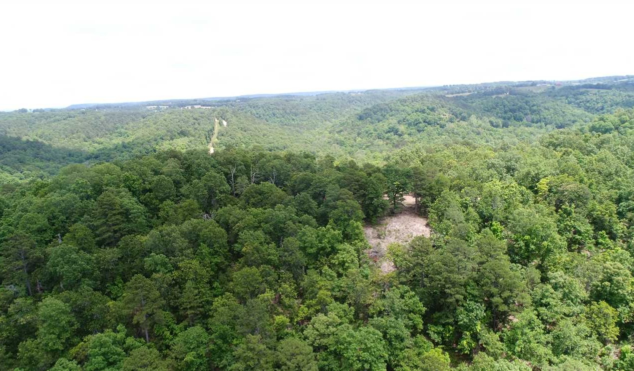 Recreational land real estate to buy in carroll County AR