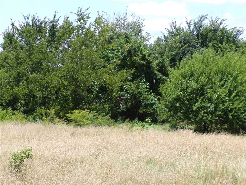 77.47 Acres of Land for sale in atoka County, Oklahoma