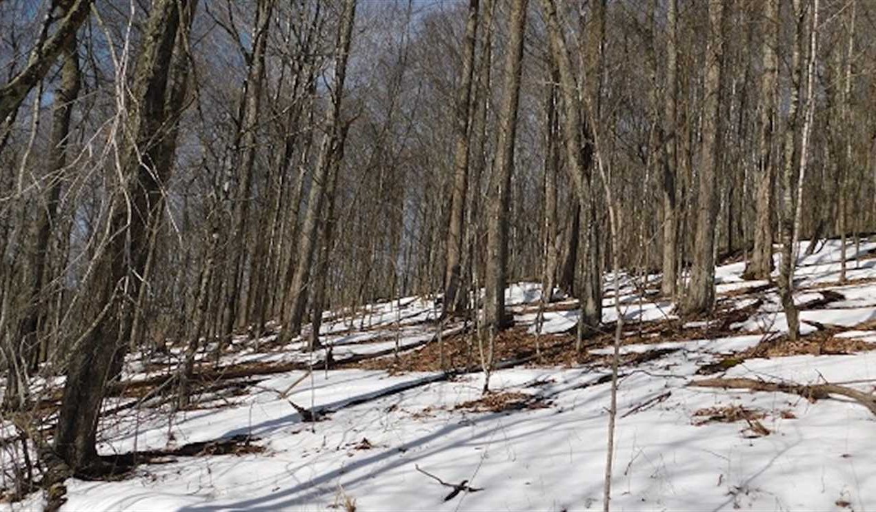grayson County, Virginia property for sale