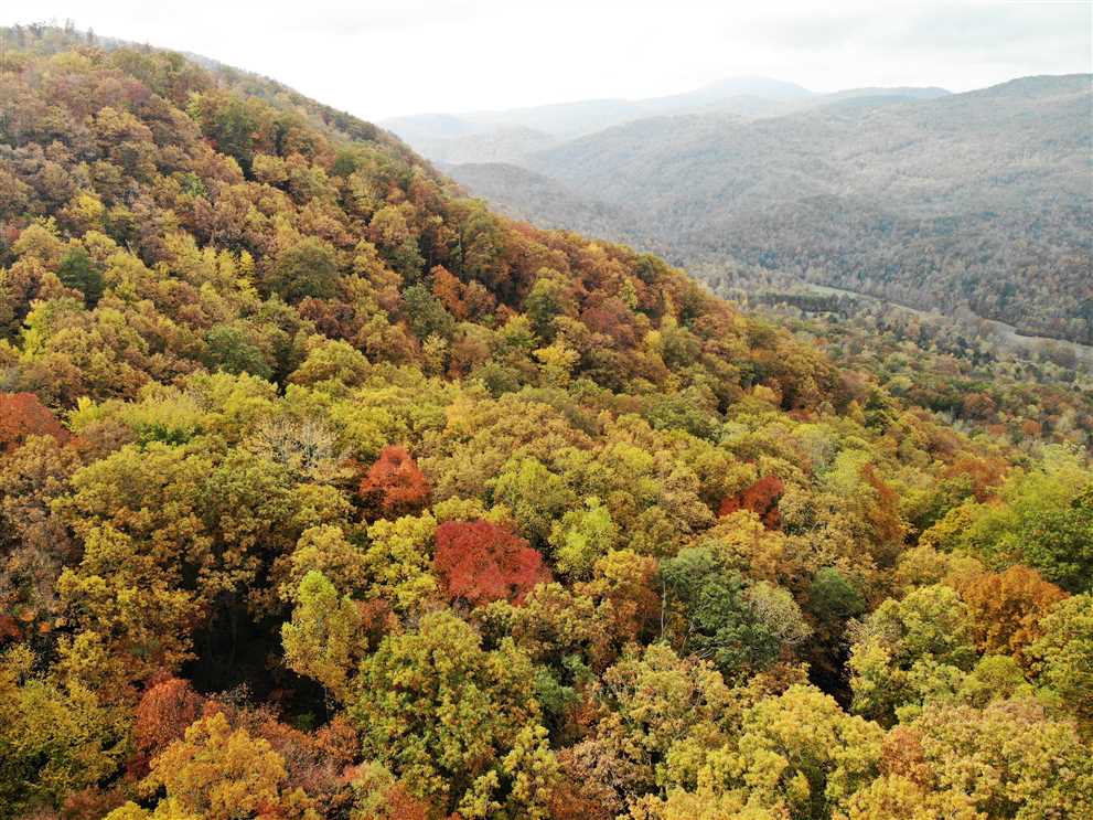 Land for sale at Tract 11 Kate Mountain Road