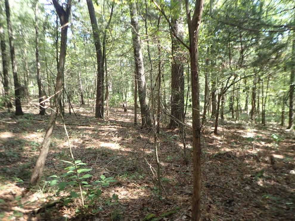 oktibbeha County, Mississippi property for sale