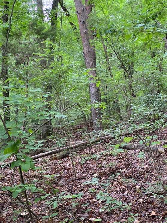 12.34 Acres of Land for sale in marion County, Tennessee
