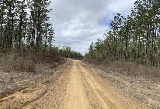 80 Acres of Land for Sale in caldwell County Louisiana