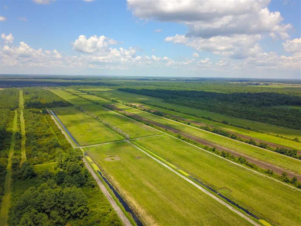 564 Acres of Land for sale in hyde County, North Carolina