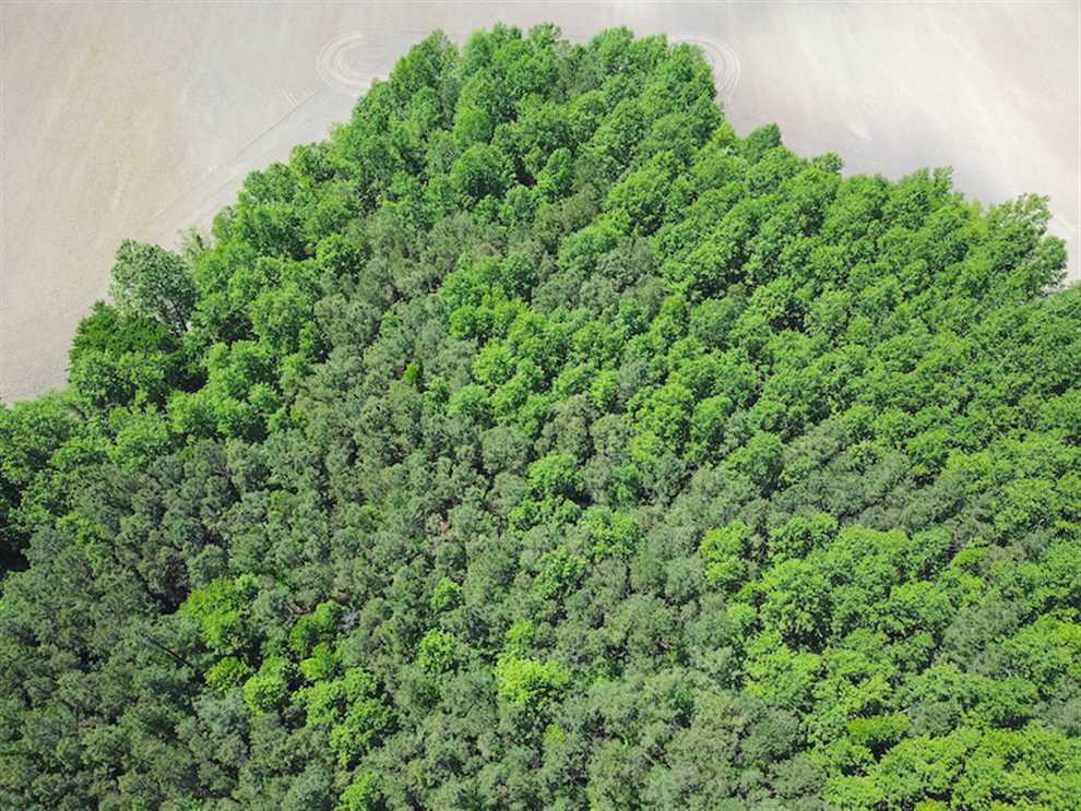 57 Acres of Land for sale in suffolk city County, Virginia