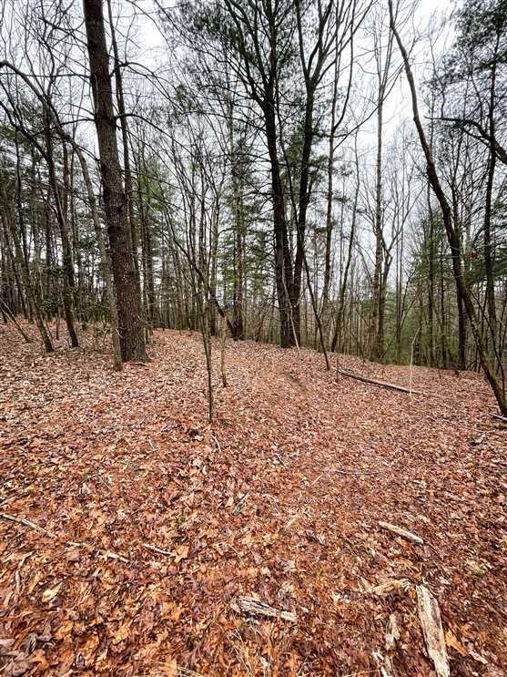 caldwell County, North Carolina property for sale