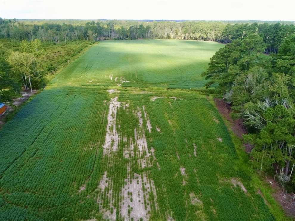 33 Acres of Land for sale in pamlico County, North Carolina