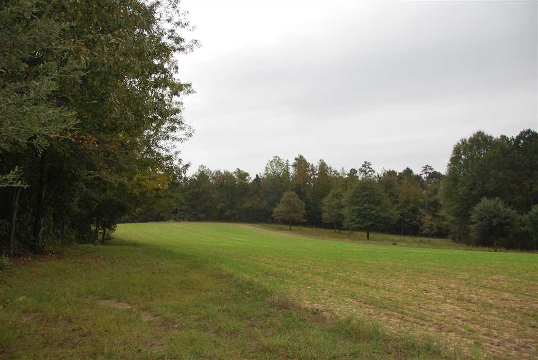 680 Acres of Land for sale in crenshaw County, Alabama