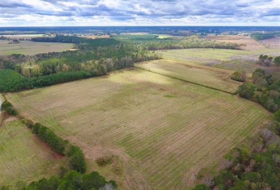 54 Acres of Land for Sale in pitt County North Carolina