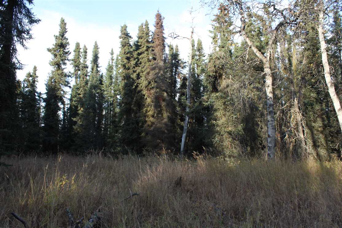 2.6 Acres of Land for sale in kenai peninsula County, Alaska