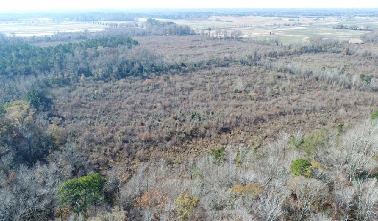 Land for sale to buy in 27858 zip code