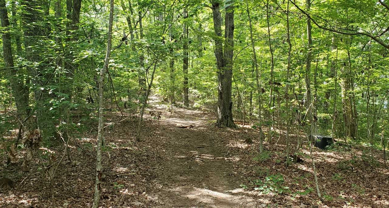 Land for sale at 0000 First Broad Drive