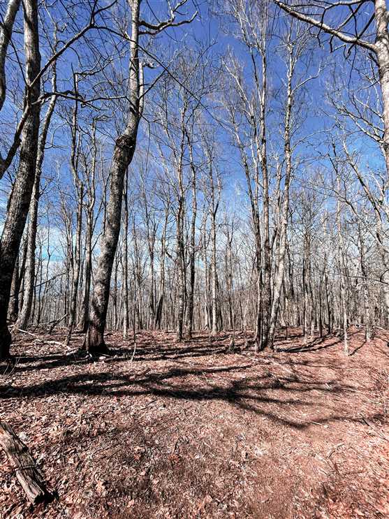 Residential and   property for sale on The Land Market