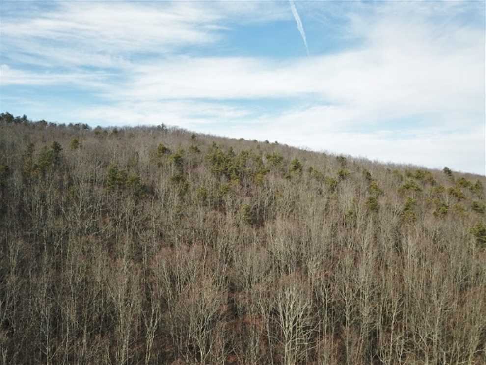 73 Acres of Recreational land for sale in Bandy, tazewell County, Virginia