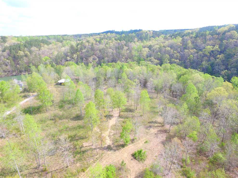 3.15 Acres of Land for sale in winston County, Alabama