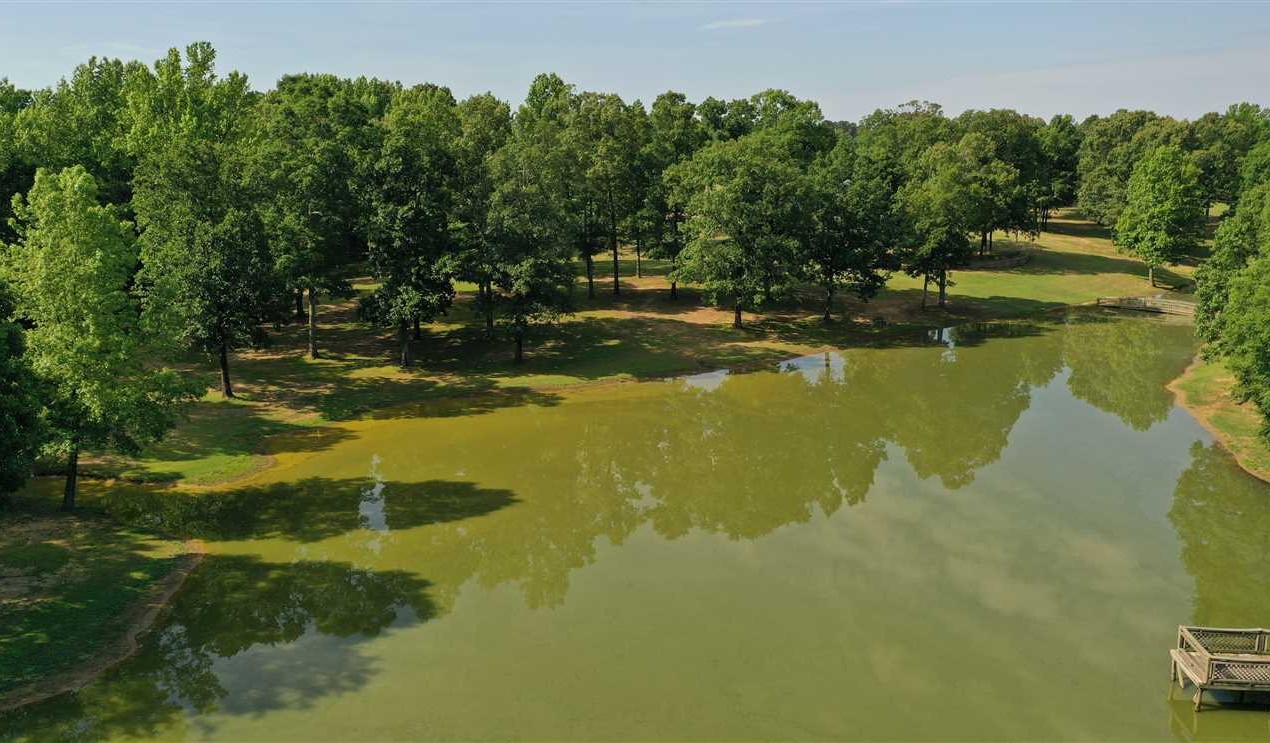 Residential and   property for sale on The Land Market