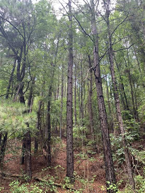 hot spring County, Arkansas property for sale
