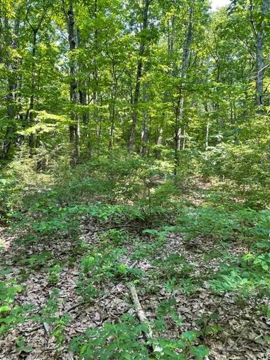 5.04+/-acres Beautiful wooded property located in the reputable Blueberry Bluffs. Real estate listing