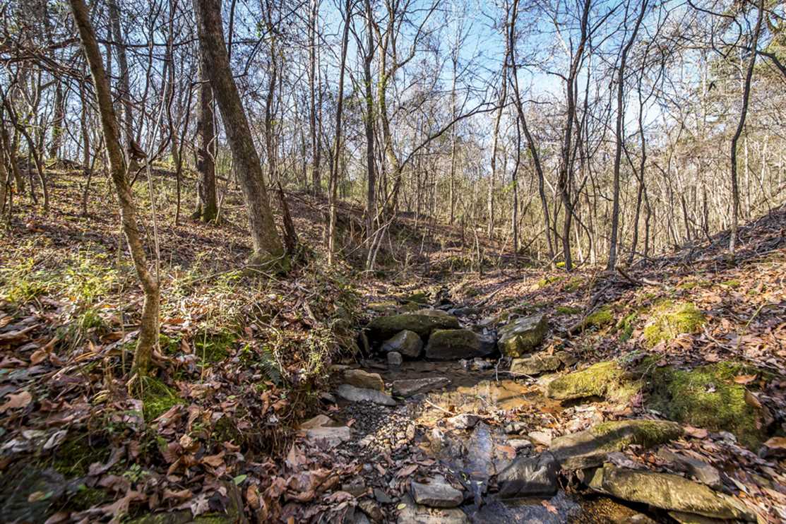 Houses and land for sale in Arkansas