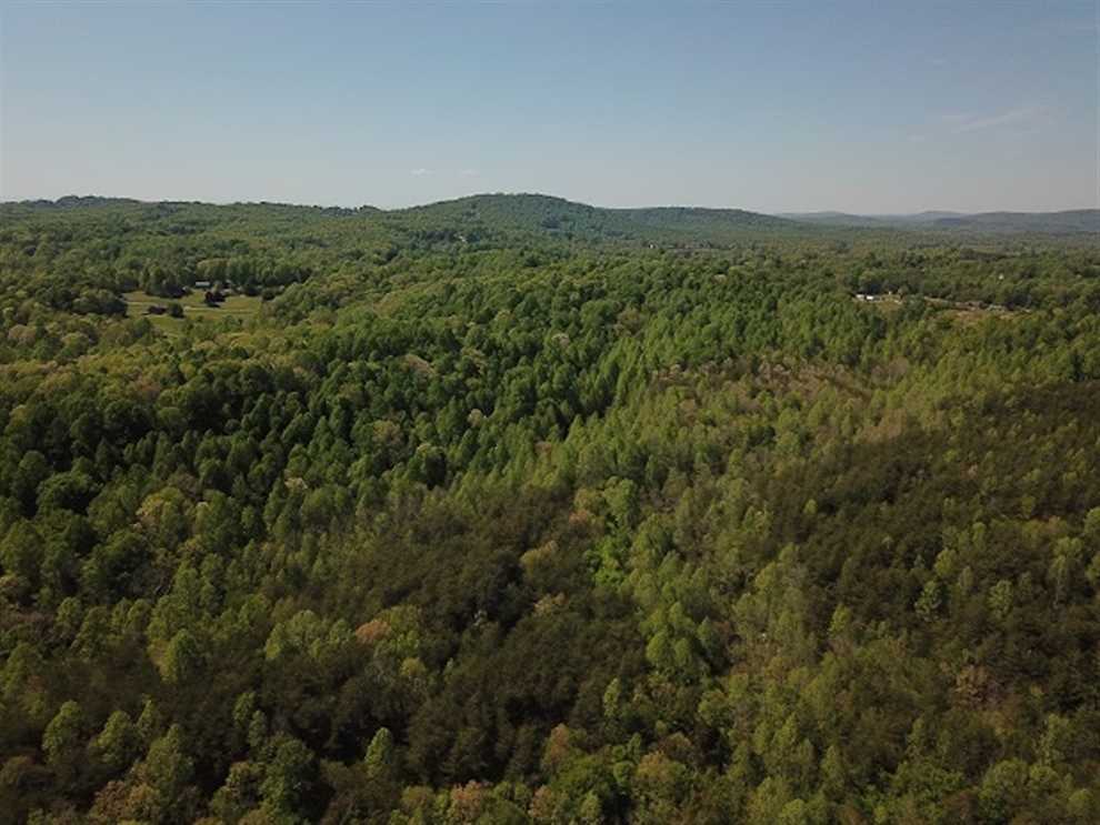 68.6 acres of Hunting and Recreational Land for Sale in Henry County VA! Real estate listing