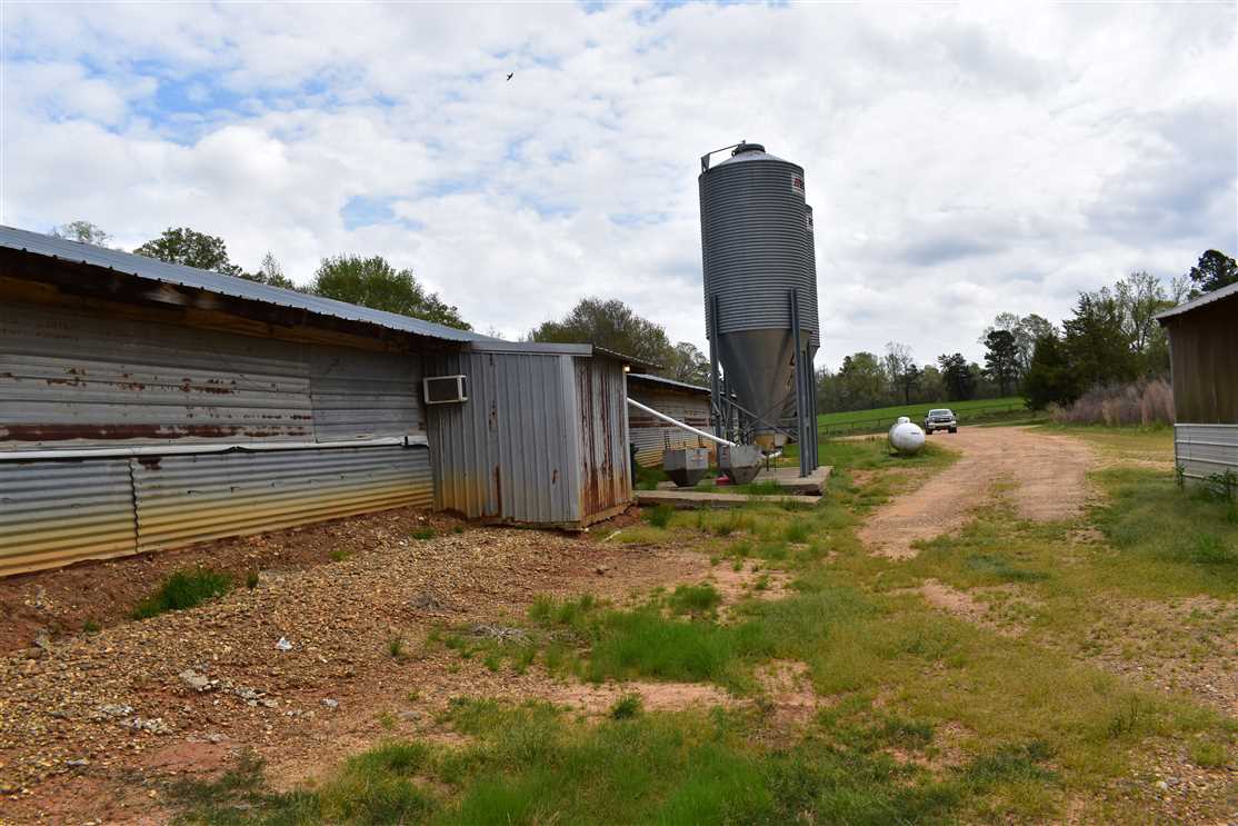 Land for sale at Nevada Road 116