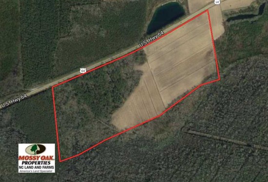 83 Acres of Land for Sale in tyrrell County North Carolina