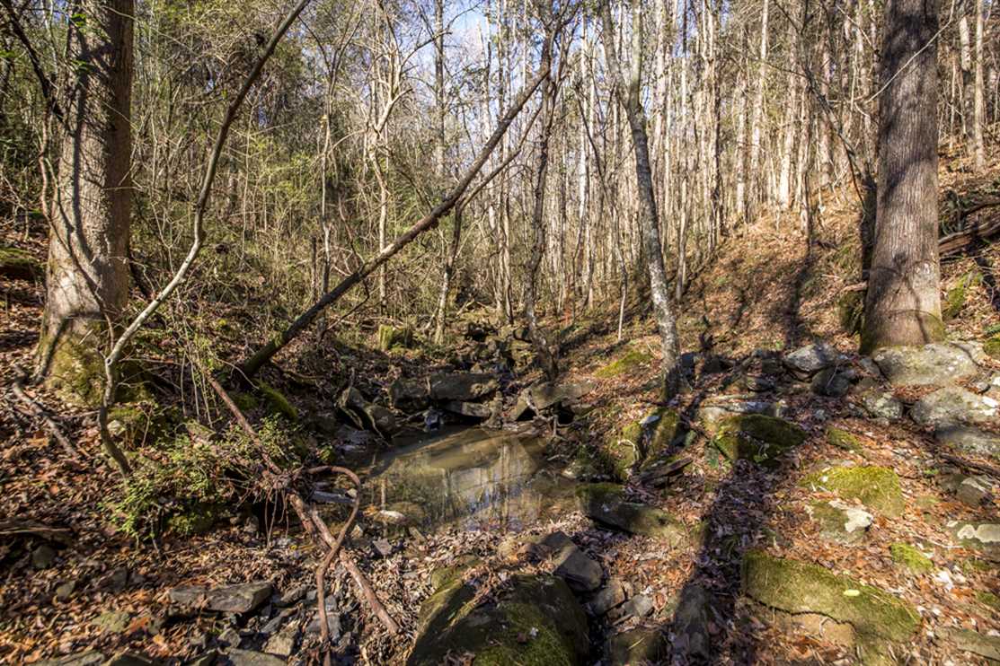 Recreational real estate available to buy