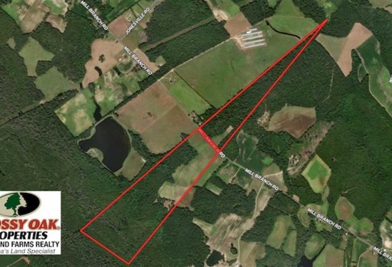 147.5 Acres of Land for Sale in robeson County North Carolina