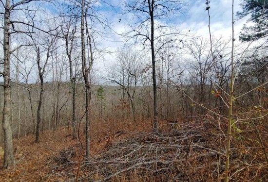 1.1 Acres of Land for Sale in carter County Missouri
