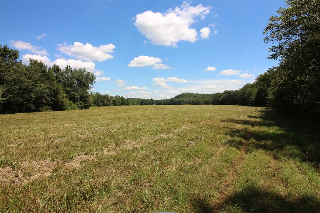 ripley County, Missouri property for sale