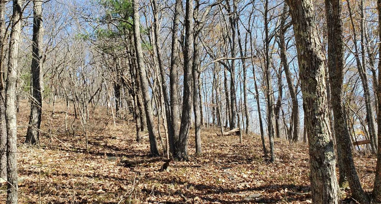 Residential and   property for sale on The Land Market