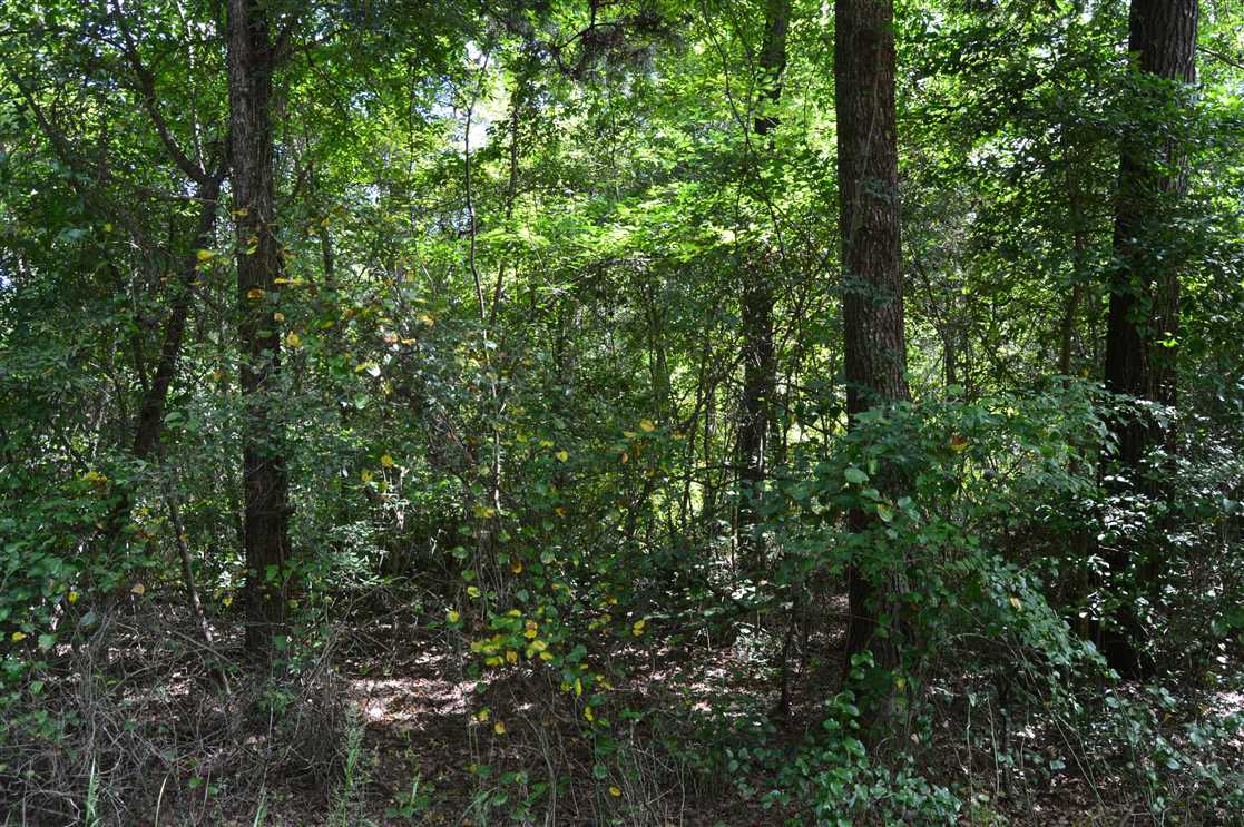 Land for sale to buy in 39654 zip code