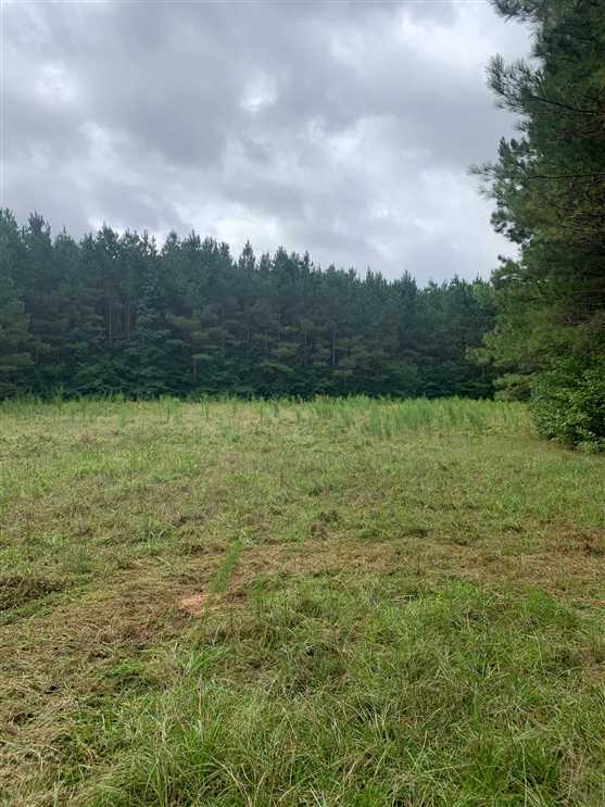 Residential and   property for sale on The Land Market