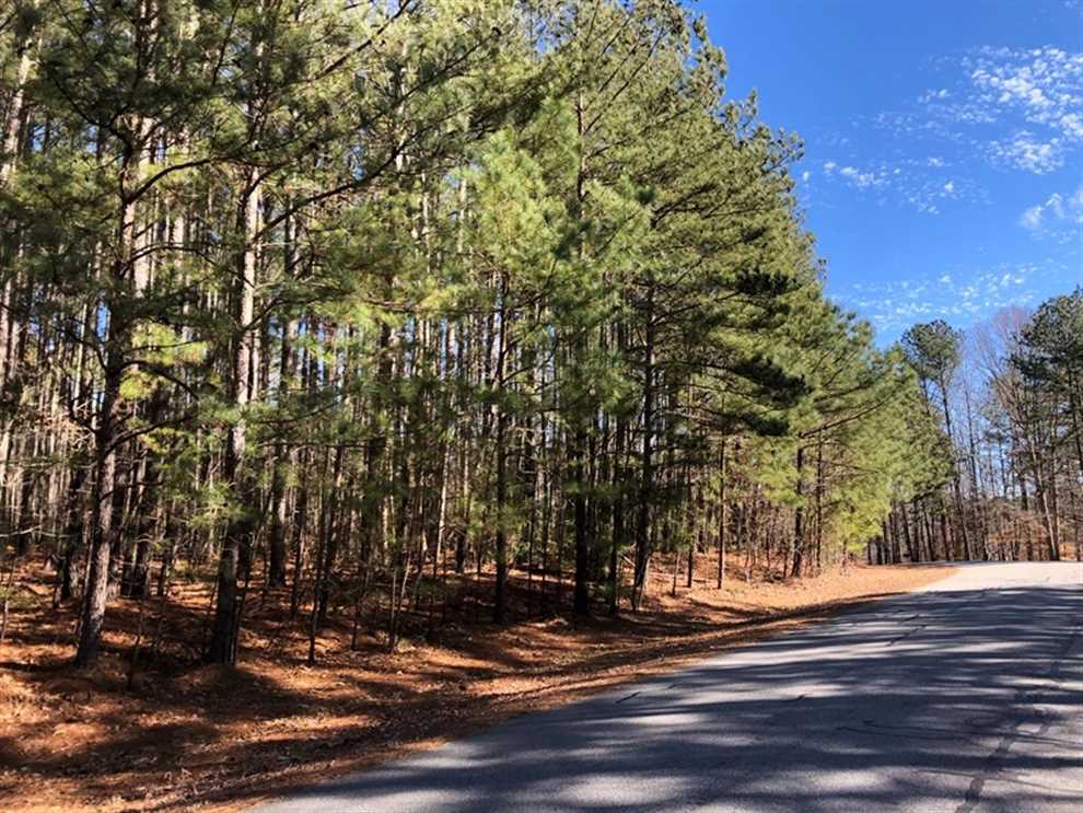 Residential and   property for sale on The Land Market
