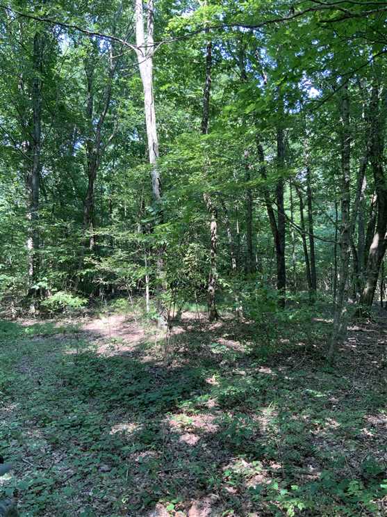 10.28 Acres of Land for sale in humphreys County, Tennessee