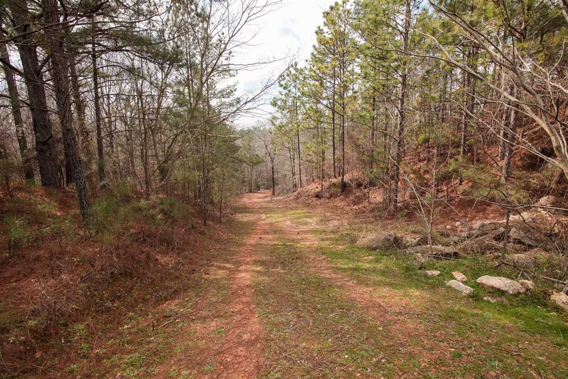 174 Acres of Recreational land for sale in Wetumpka, elmore County, Alabama
